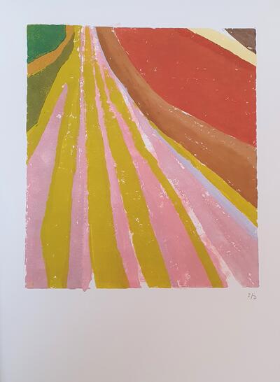 Dorine van der Ploeg linocut of a field II nr 2 32 x 28 cm 2021 ed3 lino op hahnemuhlepapier 2